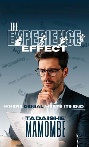 The Experience Effect de Tadaishe Mamombe