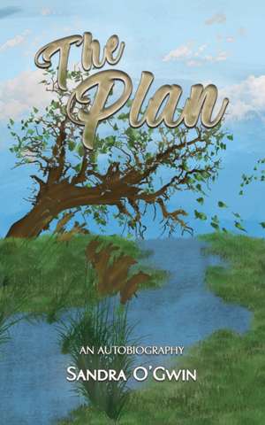 The Plan de Sandra O'Gwin