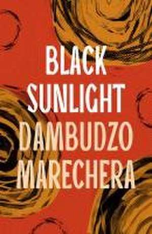 Black Sunlight de Dambudzo Marechera