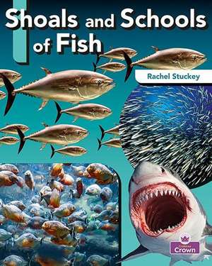 Shoals and Schools of Fish de Rachel Stuckey