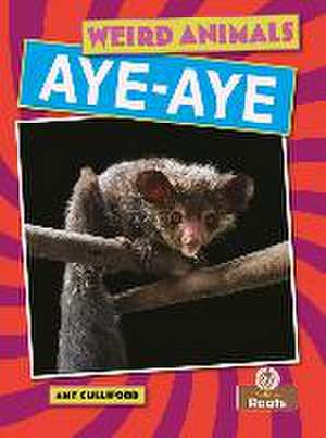 Aye-Aye de Amy Culliford