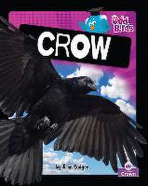 Crow de Ellen Roger