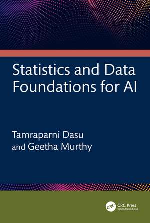 Statistics and Data Foundations for AI de Tamraparni Dasu