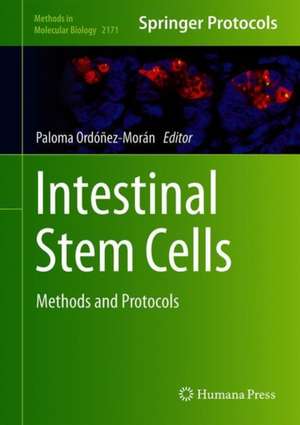 Intestinal Stem Cells: Methods and Protocols de Paloma Ordóñez-Morán