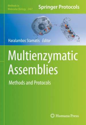 Multienzymatic Assemblies: Methods and Protocols de Haralambos Stamatis