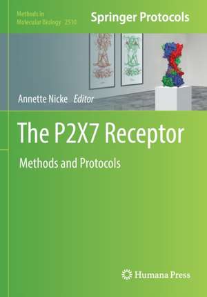 The P2X7 Receptor: Methods and Protocols de Annette Nicke