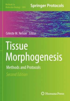 Tissue Morphogenesis de Celeste M. Nelson