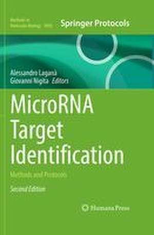 Microrna Target Identification de Alessandro Laganà