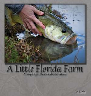 A Little Florida Farm de S. Lewis