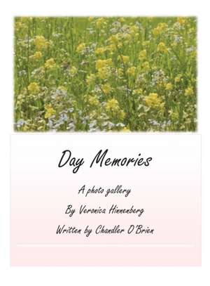 Day Memories de Chandler O'Brien