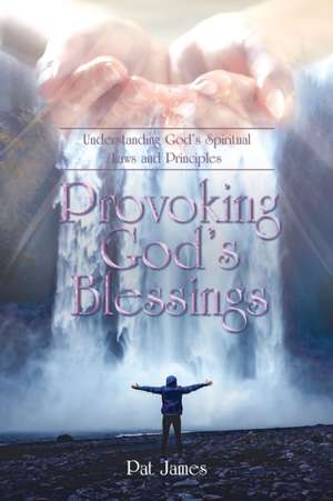 Provoking God's Blessings de Pat James