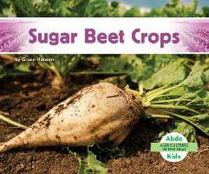 Sugar Beet Crops de Grace Hansen