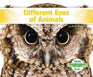 Different Eyes of Animals de Grace Hansen