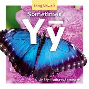 Sometimes Yȳ de Mary Elizabeth Salzmann