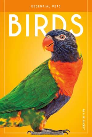 Buckey, A: Birds