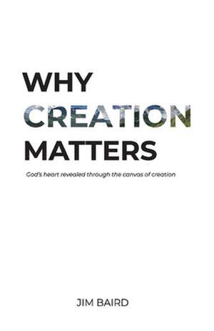 Why Creation Matters: God's heart revealed through the canvas of creation de Jim Baird