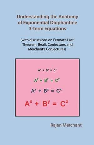 Understanding Anatomy of Exponential Diophantine 3-Term Equations de Rajen Merchant