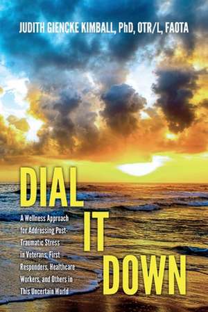 Dial It Down: A Wellness Approach for Addressing Post-Traumatic Stress in Veterans, First Responders, Healthcare Workers, and Others de Faota