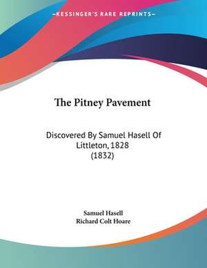 The Pitney Pavement de Samuel Hasell