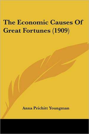 The Economic Causes Of Great Fortunes (1909) de Anna Prichitt Youngman