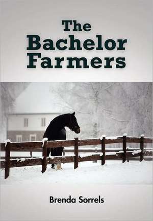 The Bachelor Farmers (Hardcover) de Brenda Sorrels