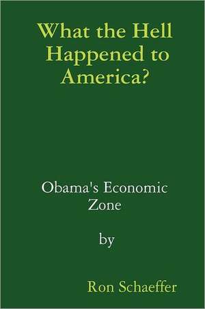 What the Hell Happened to America? de Ron Schaeffer