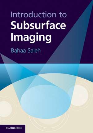 Introduction to Subsurface Imaging de Bahaa Saleh