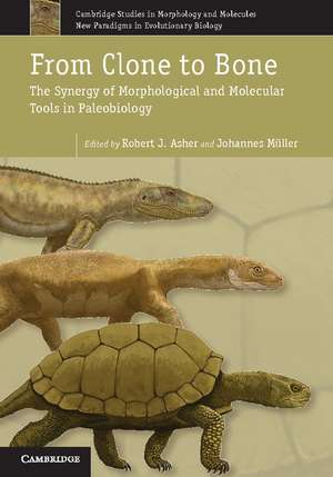 From Clone to Bone: The Synergy of Morphological and Molecular Tools in Palaeobiology de Robert J. Asher