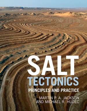 Salt Tectonics: Principles and Practice de Martin P. A. Jackson