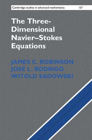 The Three-Dimensional Navier–Stokes Equations: Classical Theory de James C. Robinson