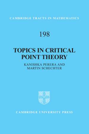 Topics in Critical Point Theory de Kanishka Perera