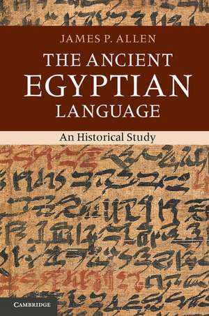 The Ancient Egyptian Language: An Historical Study de James P. Allen