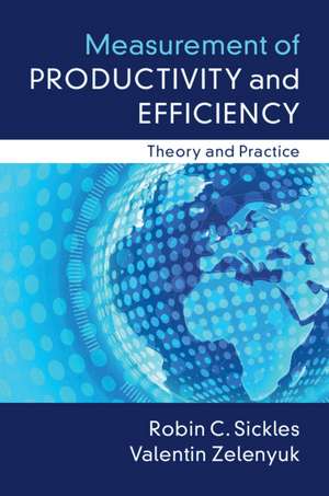 Measurement of Productivity and Efficiency: Theory and Practice de Robin C. Sickles