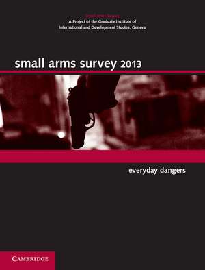 Small Arms Survey 2013: Everyday Dangers de Small Arms Survey, Geneva