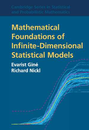 Mathematical Foundations of Infinite-Dimensional Statistical Models de Evarist Giné