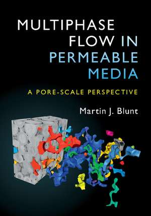 Multiphase Flow in Permeable Media: A Pore-Scale Perspective de Martin J. Blunt