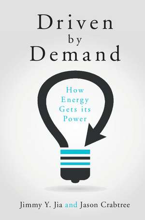 Driven by Demand: How Energy Gets its Power de Jimmy Y. Jia