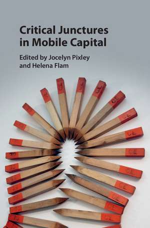 Critical Junctures in Mobile Capital de Jocelyn Pixley