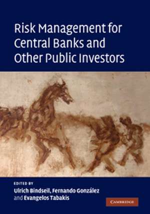 Risk Management for Central Banks and Other Public Investors de Ulrich Bindseil