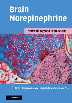 Brain Norepinephrine: Neurobiology and Therapeutics de Gregory A. Ordway