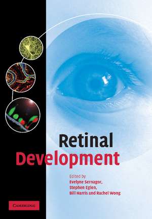 Retinal Development de Evelyne Sernagor