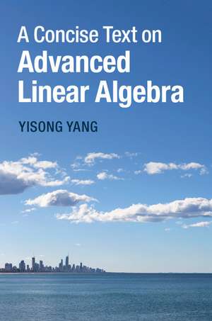 A Concise Text on Advanced Linear Algebra de Yisong Yang