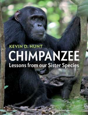 Chimpanzee: Lessons from our Sister Species de Kevin D. Hunt