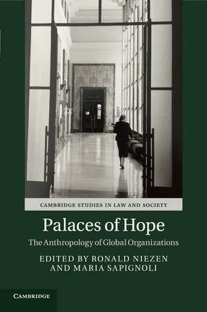 Palaces of Hope: The Anthropology of Global Organizations de Ronald Niezen