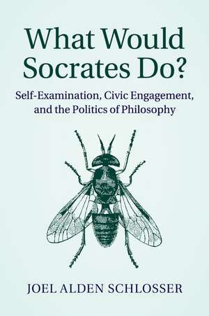 What Would Socrates Do?: Self-Examination, Civic Engagement, and the Politics of Philosophy de Joel Alden Schlosser