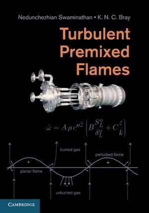 Turbulent Premixed Flames de Nedunchezhian Swaminathan