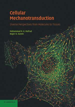 Cellular Mechanotransduction: Diverse Perspectives from Molecules to Tissues de Mohammad R. K. Mofrad