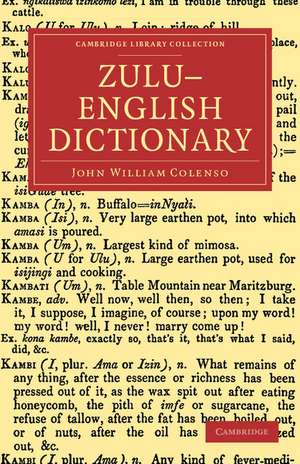 Zulu–English Dictionary de John William Colenso