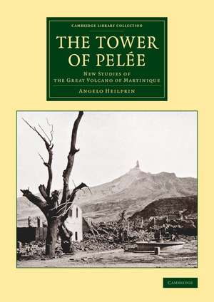 The Tower of Pelée: New Studies of the Great Volcano of Martinique de Angelo Heilprin