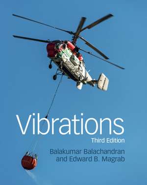 Vibrations de Balakumar Balachandran